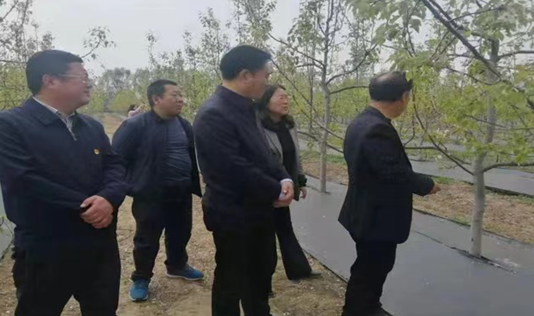 吕梁市科协在孝义验收科普基地调研科普工作