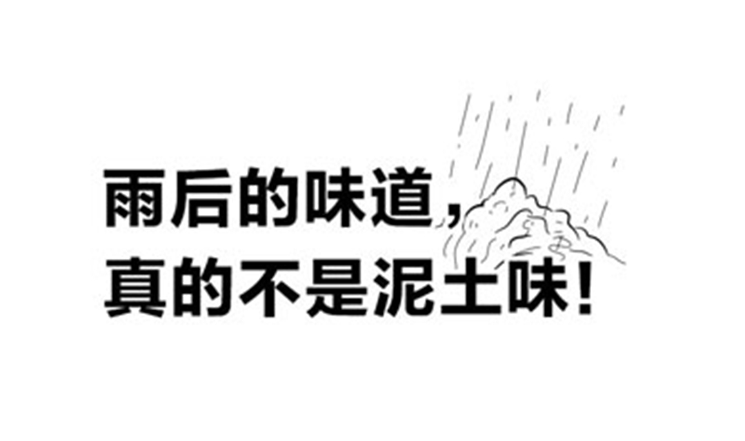 雨后的味道，真的不是泥土味！
