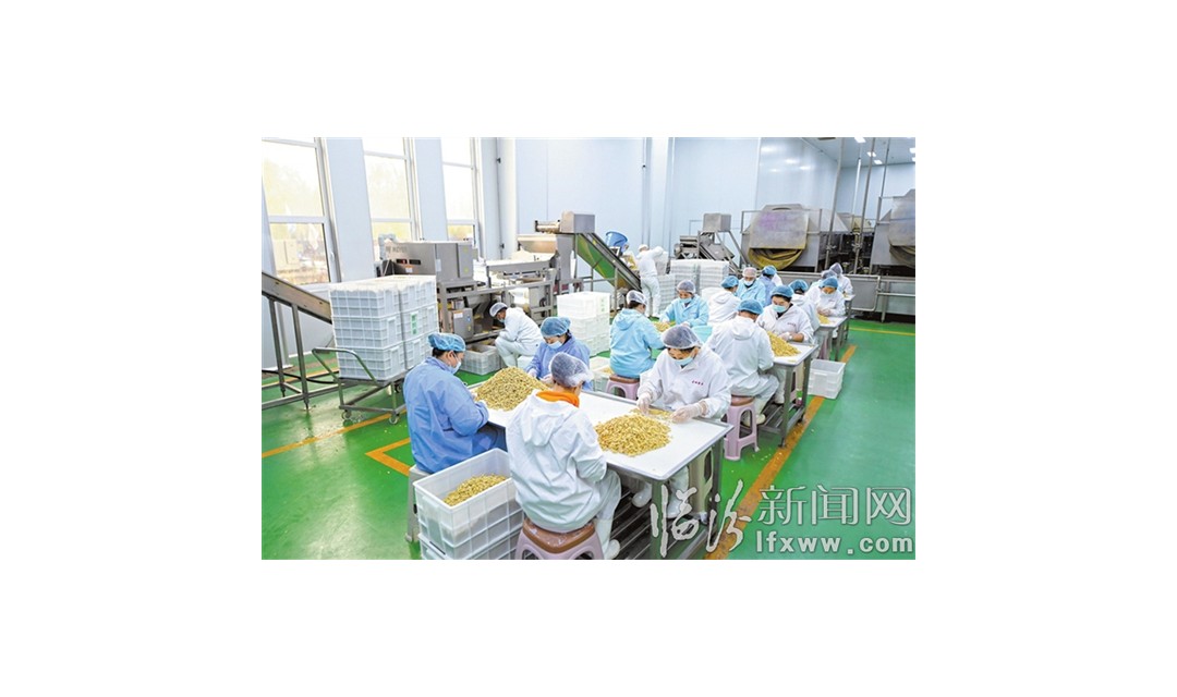 古县建县50周年巡礼