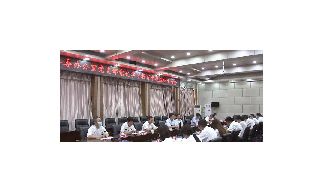 黄巍、王渊以普通党员身份参加所在党支部专题组织生活会