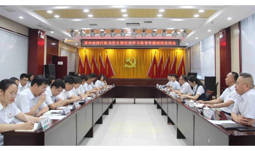临汾审计中心党组成员、副主任马飞龙深入霍州农商行机关党支部参加党史学习教育专题组织生活会