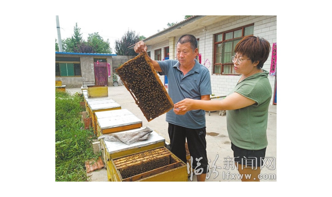 浮山尹振汉： 尹老汉的&ldquo;甜蜜&rdquo;小康路