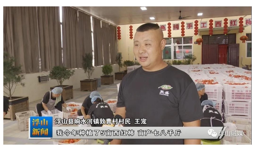浮山敦曹村：甜蜜&ldquo;柿&rdquo;业 带领大伙致富奔小康