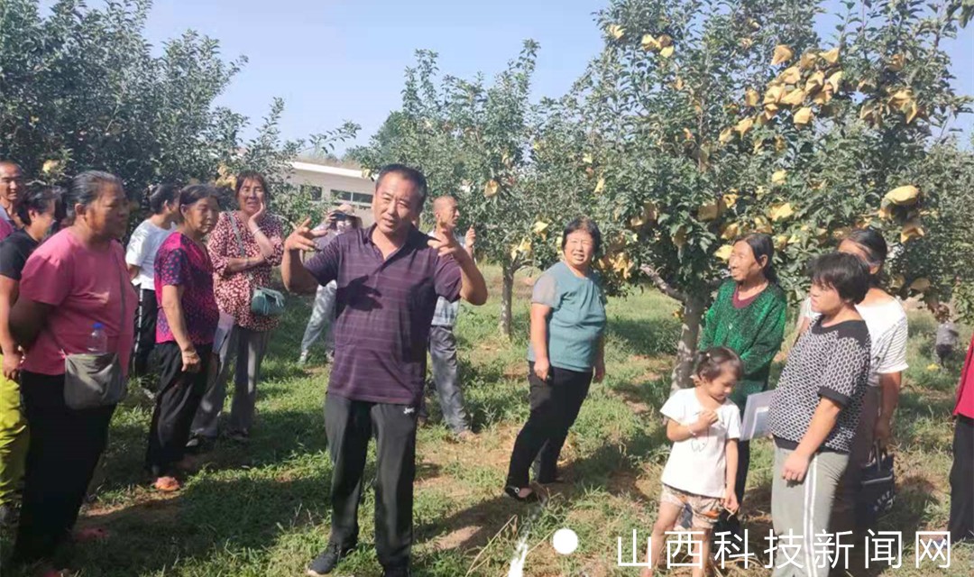 大宁县：田间地头手把手培训实用技术新人才