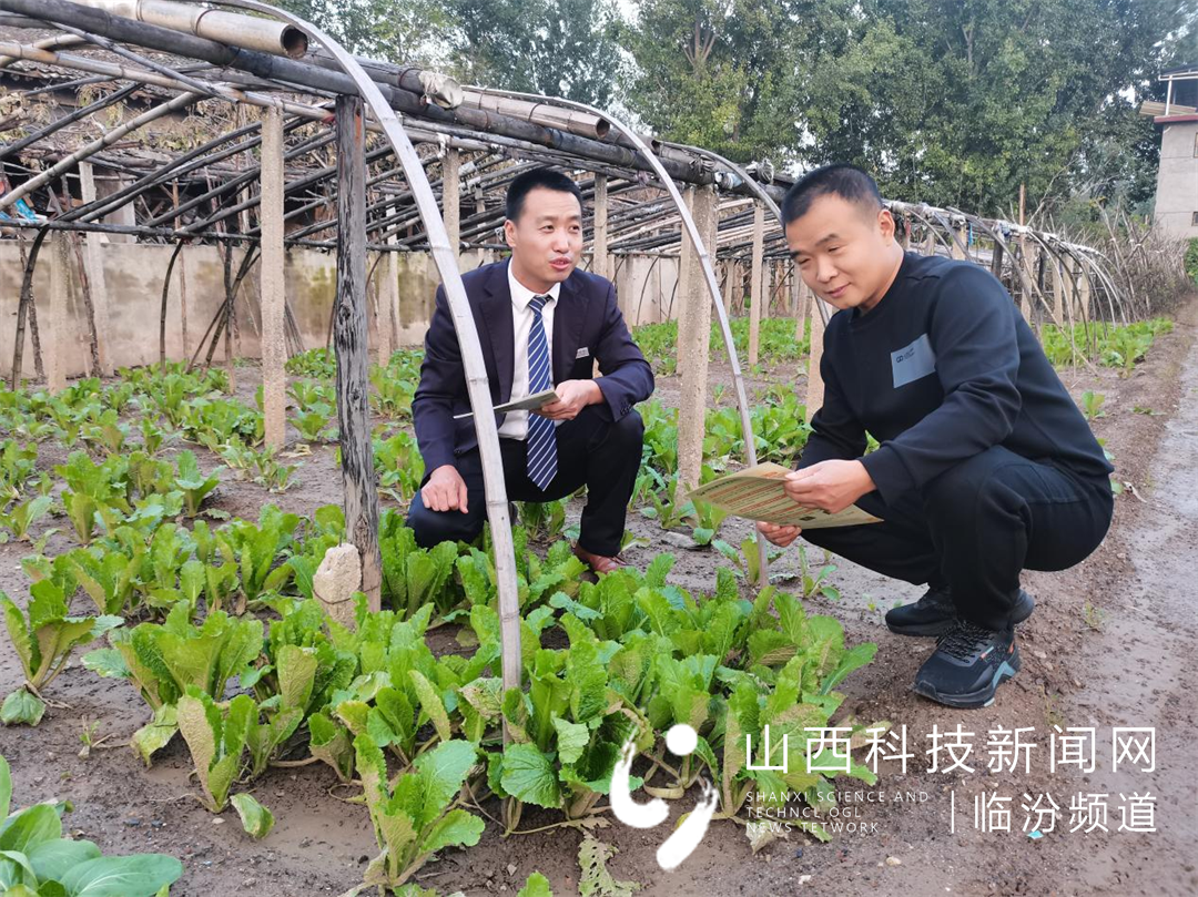 尧都农商银行金融服务保障汛期抢收备耕1