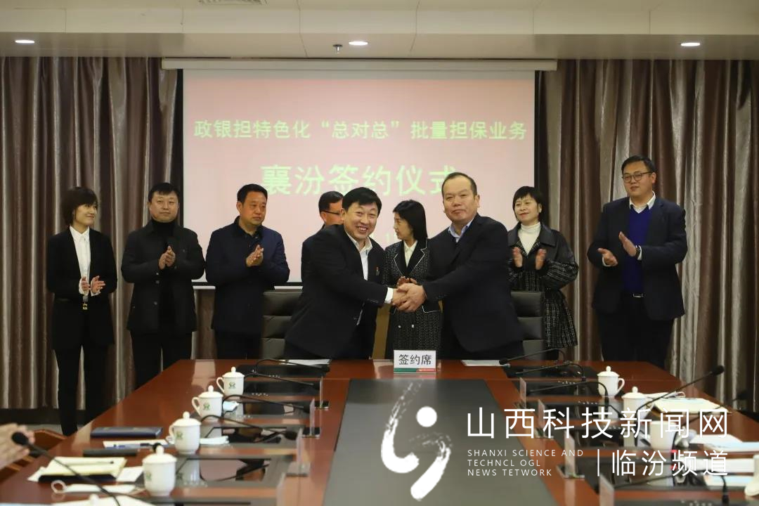 批量担保业务9