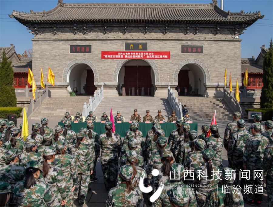 图三