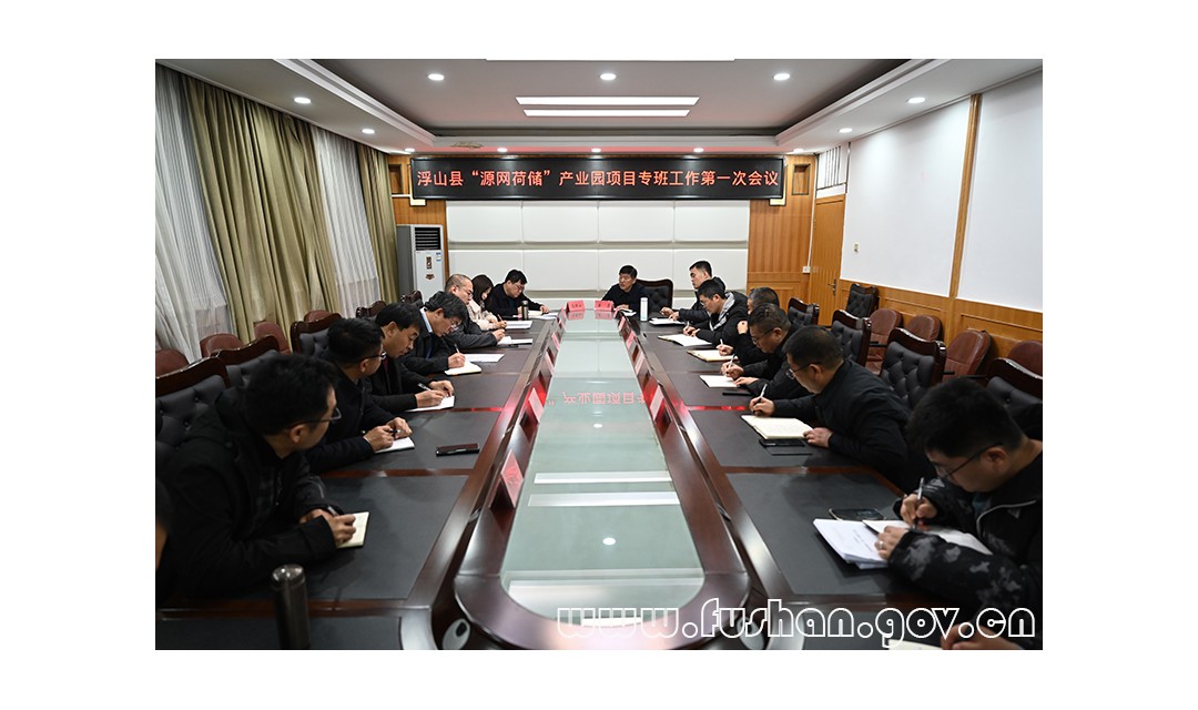 我县召开&ldquo;源网荷储&rdquo;产业园项目专班工作第一次会议