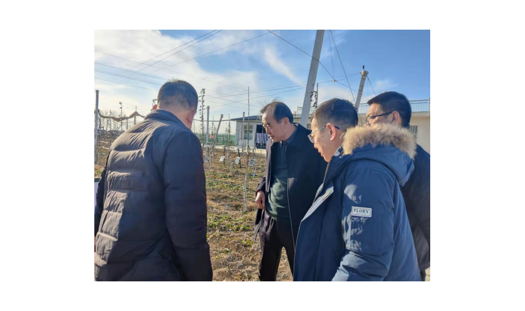 临汾市科技局副局长邱中柱赴吉县开展科技创新调研