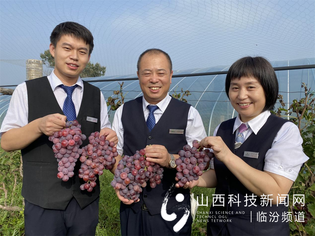 尧都农商银行细节里的温暖3
