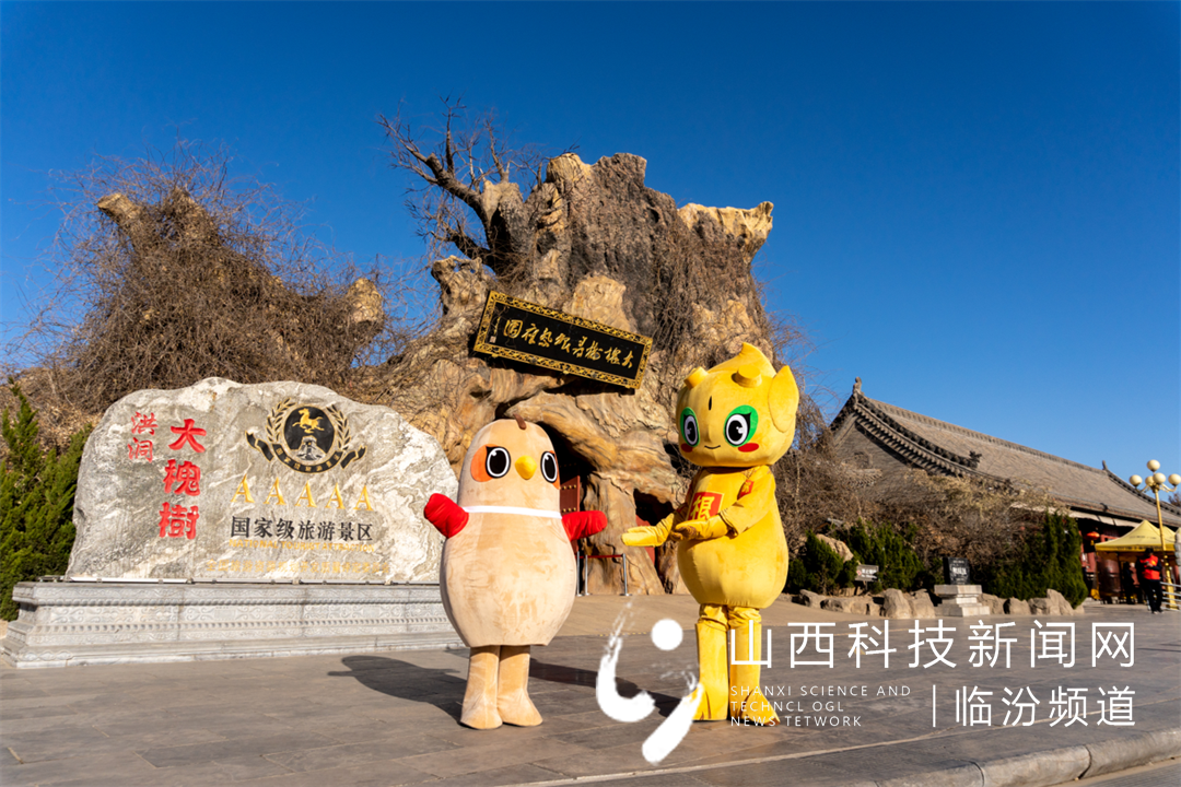 图三