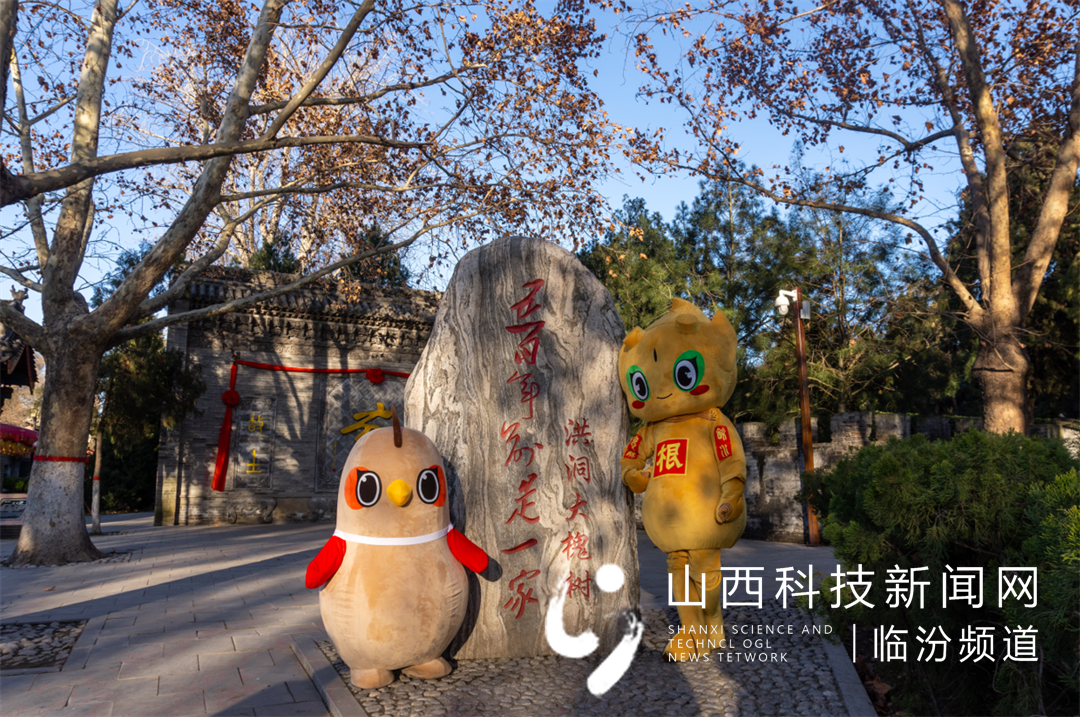 图四