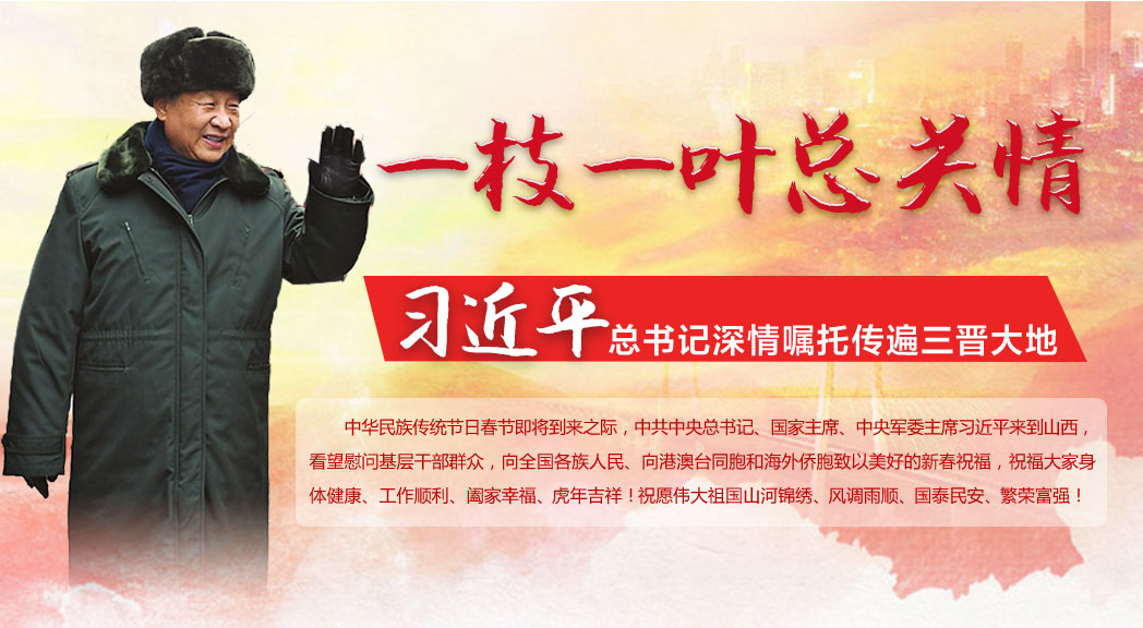【一枝一叶总关情&mdash;&mdash;习近平总书记深情嘱托传遍三晋大地】坚定推动资源型经济转型