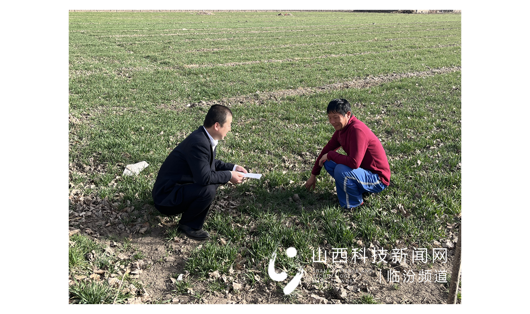 尧都农商银行用农信服务铺就丰收底色