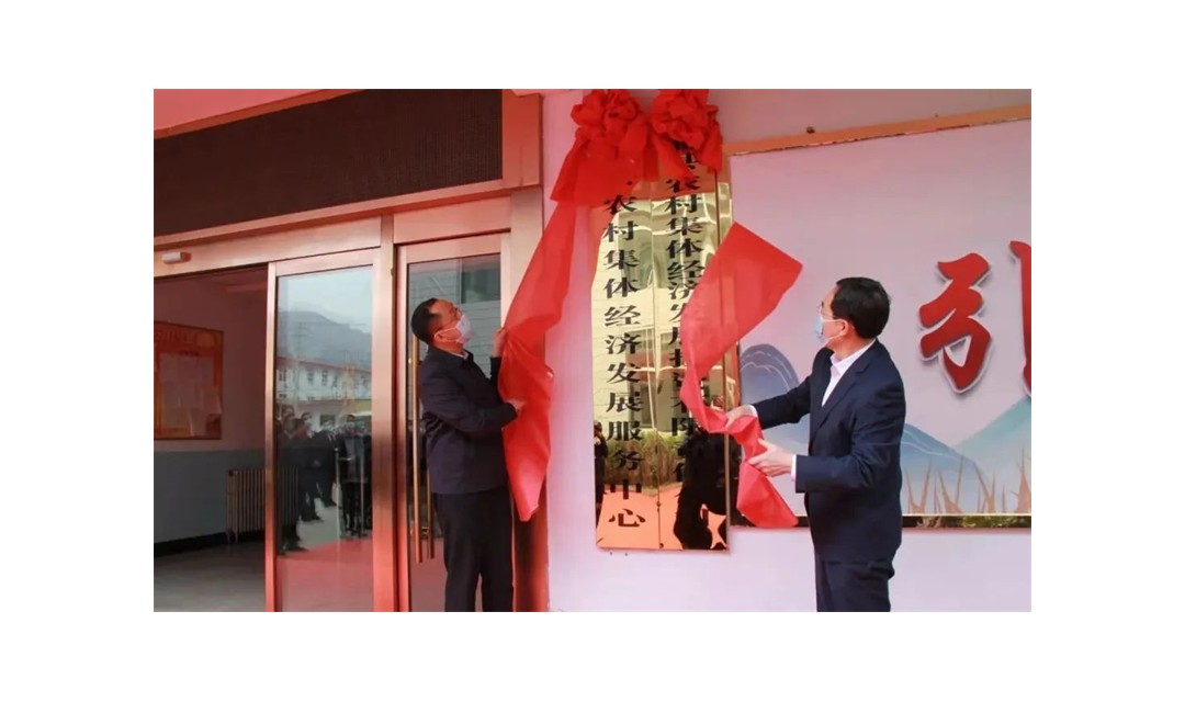 全市首家！蒲县农村集体经济发展投资有限责任公司挂牌成立