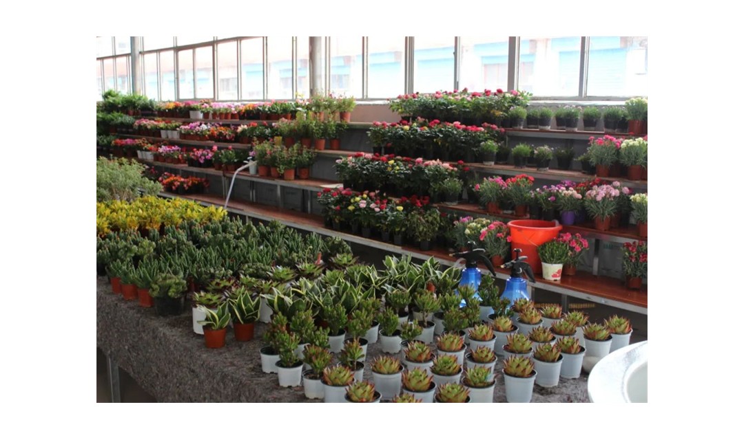 洪洞县：示范创建如火如荼 打造乡村振兴高光时刻