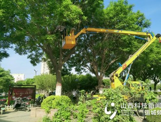 运城圣惠公园：精修园林花木 创造优美游园环境