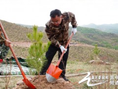 和顺县四套班子领导带头参加义务植树活动