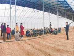 宣讲走进大棚里 鼓舞村民奔富路