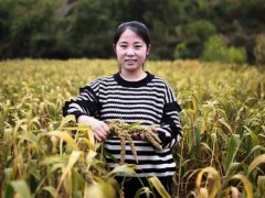 【我们正青春】王亚妮：致富&ldquo;铁姑娘&rdquo;成村民&ldquo;当家人&rdquo;