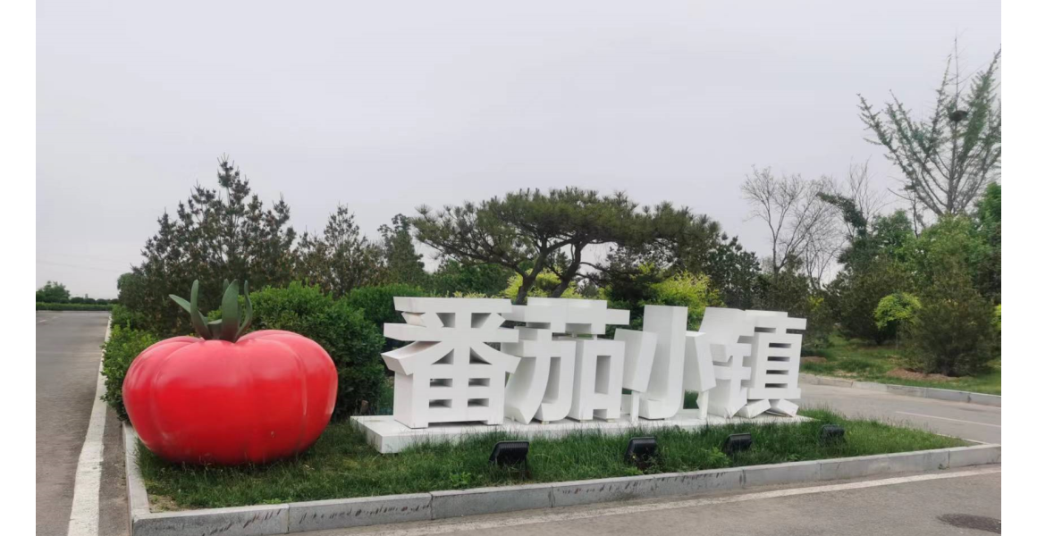 科技助力小番茄 做成富民大产业 &mdash;&mdash;发展智慧农业 打造番茄小镇