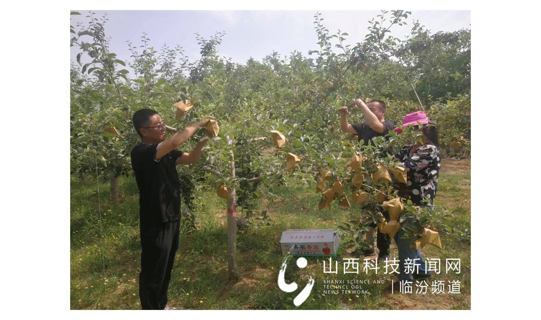 大宁县供电公司：农村包扶正当时