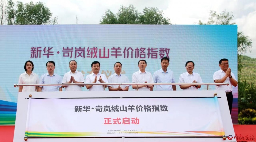 新华&middot;岢岚绒山羊价格指数发布