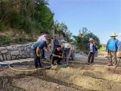 &ldquo;山丹丹&rdquo;开出致富花 &mdash;&mdash;记区二届人大代表宋建军