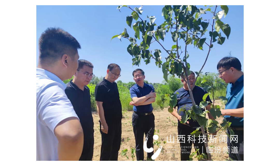 农家院落送服务 田间地头听民声