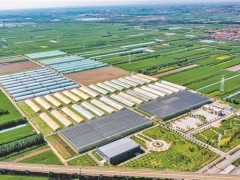 科技为乡村振兴破局赋能