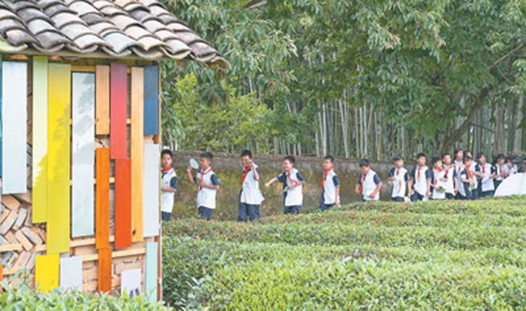 田野里办展览，村民当讲解员（艺术改变乡村）