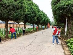 蟒河镇抓党建促基层治理能力提升之  抓党建凝心聚力惠民生 强基础全民参与促提升