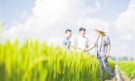 以高质量职业教育铸牢乡村振兴根基