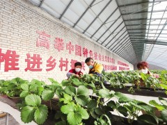 让阳光永驻农民心间 &mdash;&mdash;晋中市今年巩固拓展脱贫攻坚成果同乡村振兴有效衔接工作掠影