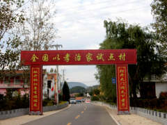 走进德孝文化献义村