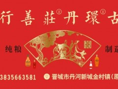 市党史学会组织专家对水西村古码头进行鉴定和论证