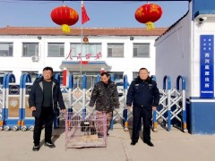 春节我在岗｜警民联手救助国家一级保护动物黑鹳