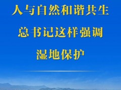 第一观察丨人与自然和谐共生，总书记这样强调湿地保护
