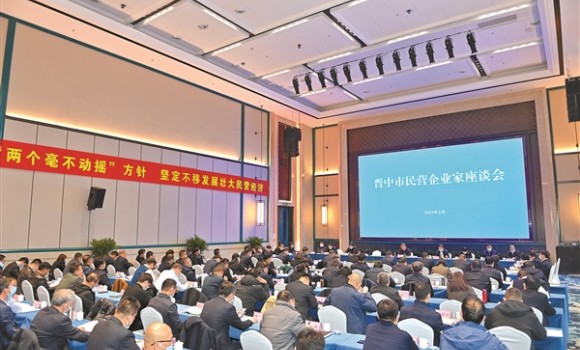 传统民营企业在坚定产业转型中培植发展新动能&mdash;&mdash; 让&ldquo;老树&rdquo;焕发&ldquo;新芽&rdquo;