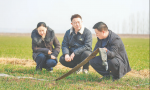稷山县蔡村乡西柏村&mdash;&mdash; 千余亩滩地变成&ldquo;钱袋子&rdquo;