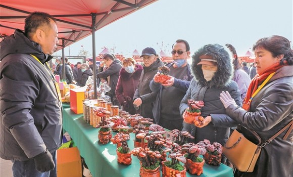 山西&middot;太谷第二十届科技节暨全国农业科技现代化先行县共建成果推介会在太谷举行