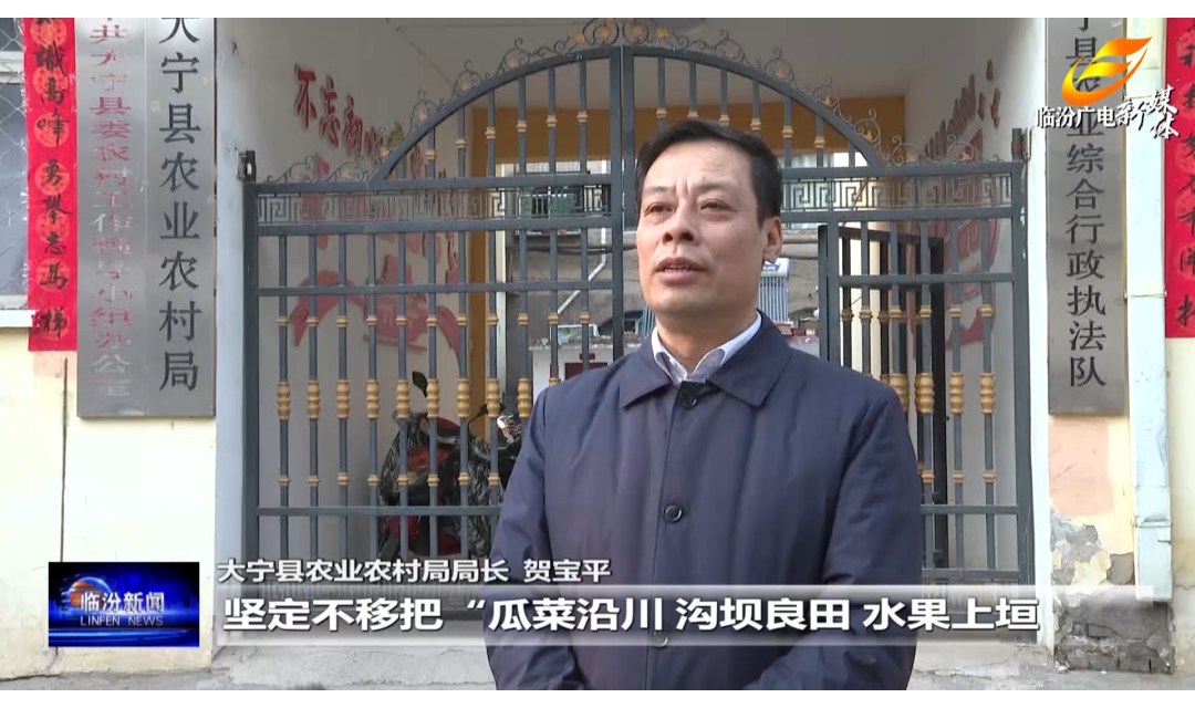 大宁：产业发展势头旺 乡村振兴干劲足