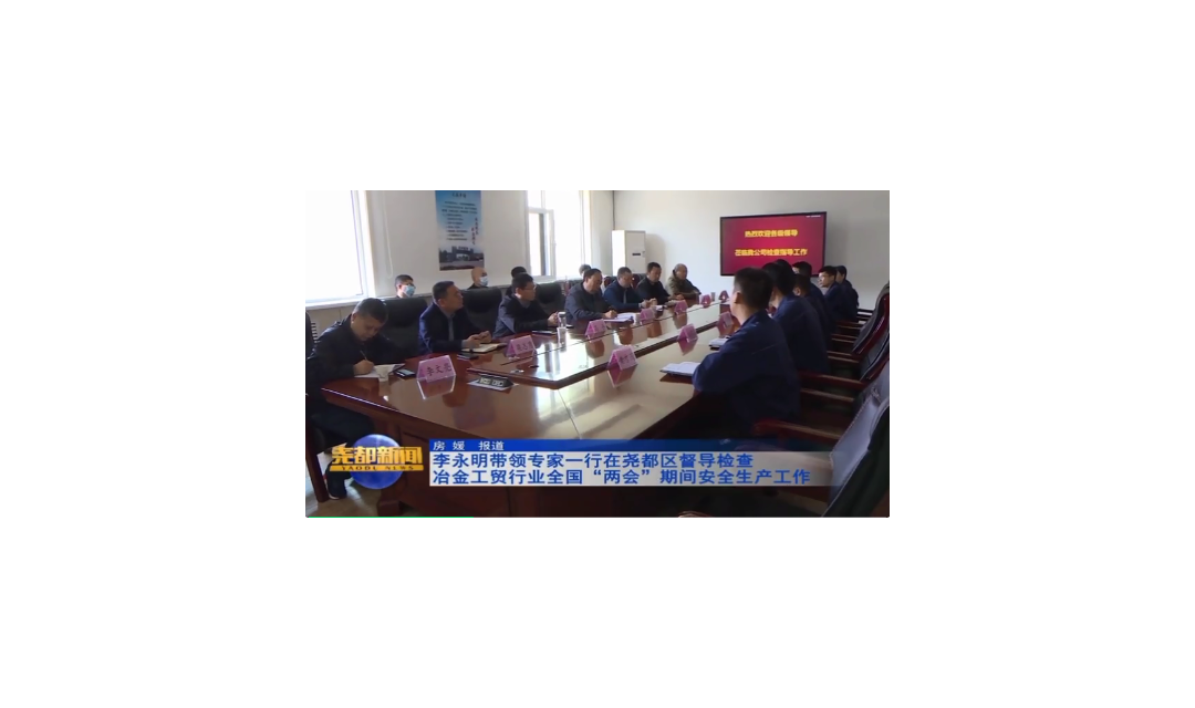 山西省应急管理厅副处长李永明带领专家一行在尧都区督导检查冶金工贸行业全国&ldquo;两会&rdquo;期间安全生产工作