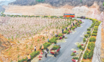 山西铭泰路桥工程有限公司开展植树绿化活动