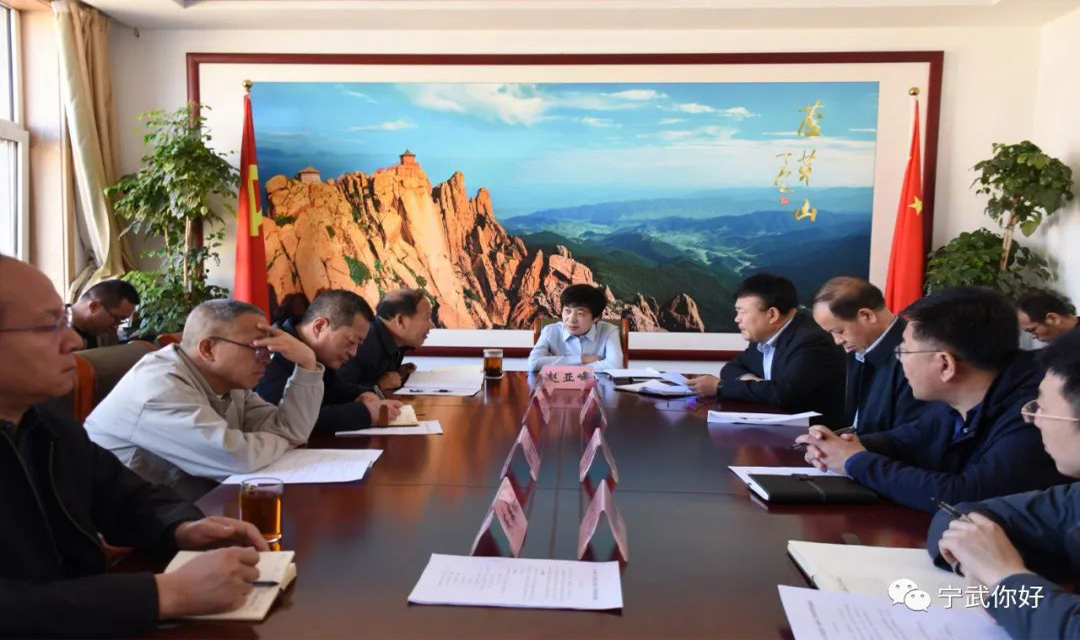 宁武县召开&ldquo;药茶&rdquo;专业镇建设推进会