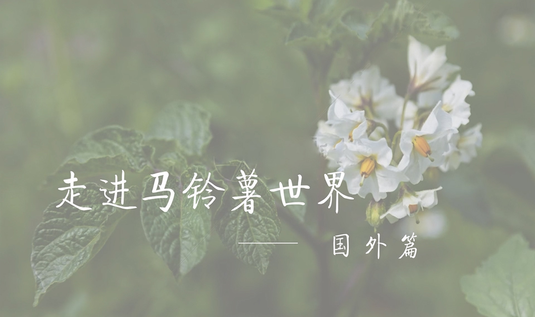 走进马铃薯世界&mdash;&mdash;国外篇