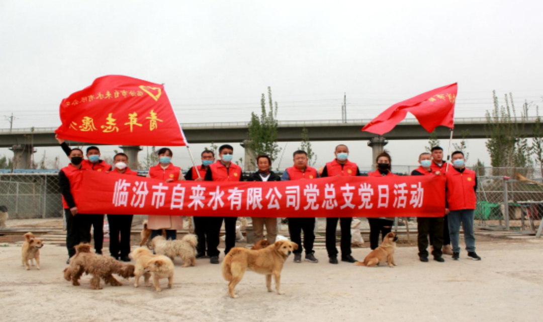 临汾市自来水有限公司：开展&ldquo;关爱生命 救助动物&rdquo;志愿服务活动