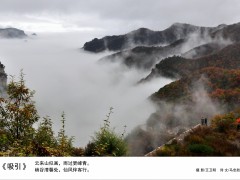 &ldquo;太行人家  诗意勤泉&rdquo;       &mdash;&mdash;文化铸魂  科技赋能  助力勤泉百姓幸福生活