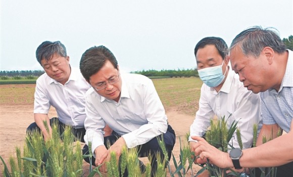 蓝佛安在晋中市调研耕地保护时强调
