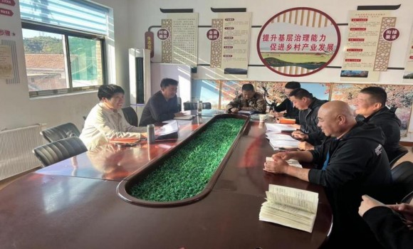 晋中市科协主席常许雁一行赴左权县宋家庄村调研指导乡村振兴工作